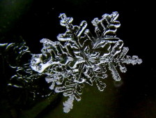 Kosmetik in 44799 Bochum