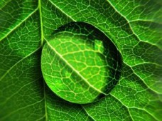 Kosmetik in 44799 Bochum